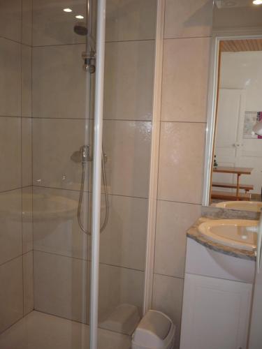 a bathroom with a shower with a toilet and a sink at Gite Anne-Marie Davaillon in Châtillon-sur-Indre