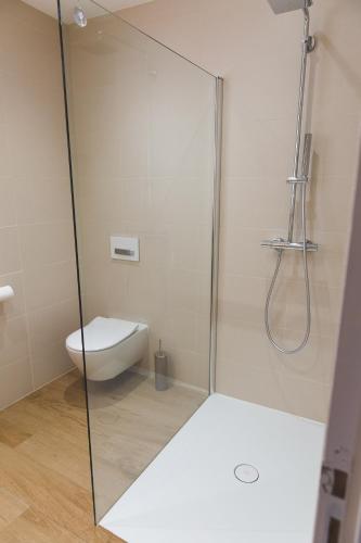 a bathroom with a toilet and a glass shower stall at HISSLA ALSACE CHIC& COSY BARR Wine Route in Barr