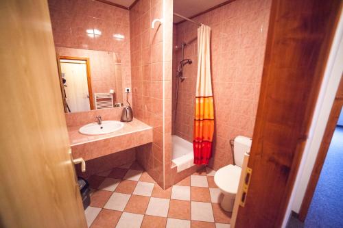 La salle de bains est pourvue d'un lavabo, d'une douche et de toilettes. dans l'établissement Hotel Fogl, à Nová Bystřice