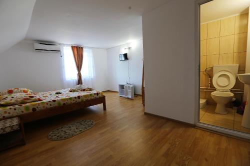 スリナにあるCasa Iustina Sulinaのベッドルーム1室(ベッド1台付)、トイレが備わります。