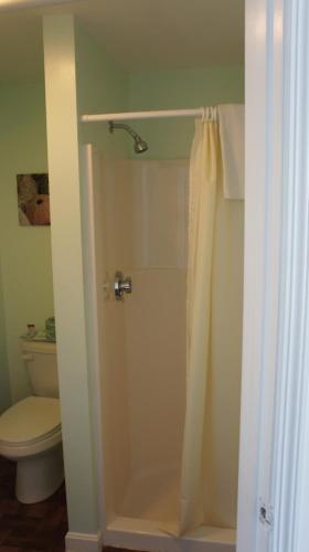 a bathroom with a shower and a toilet at Atlantic Sands in Hampton