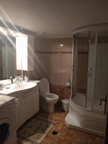 a bathroom with a sink and a toilet and a shower at Prinos Apartment in Prinos