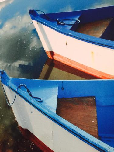 a blue and white boat sitting in the water at Hotel Bocas del Toro in Bocas del Toro