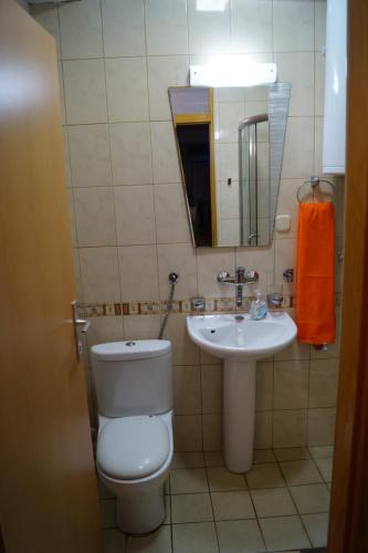 a bathroom with a toilet and a sink and a mirror at Snegar Apartments in Ohrid
