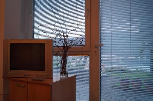 a room with a television and a vase with a plant at Snegar Apartments in Ohrid