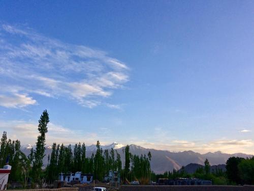 a group of trees and mountains with a blue sky at Heschuk Guest House in Leh