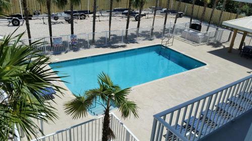een uitzicht over een zwembad met een palmboom bij Knight's Key Suites in Marathon