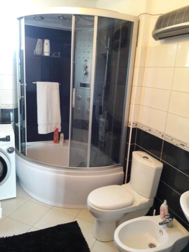 a bathroom with a shower and a toilet and a sink at Guest's house ''Lindi&Roni'' in Ulcinj