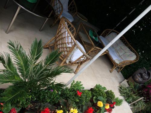 an overhead view of a patio with a chair and flowers at Apartments Knežević in Ulcinj