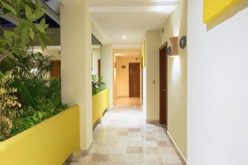a corridor of a hospital with plants on the walls at Hotel Los Itzaes by 5th av in Playa del Carmen