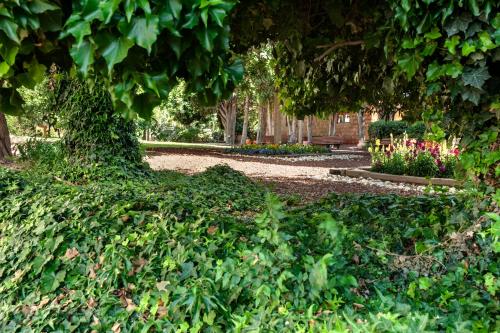 a park with a bunch of bushes and flowers at Ramat Rachel Resort in Jerusalem