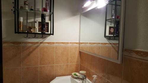 a bathroom with a sink and a mirror at Penzion-apartmán U Johana in Moravská Třebová