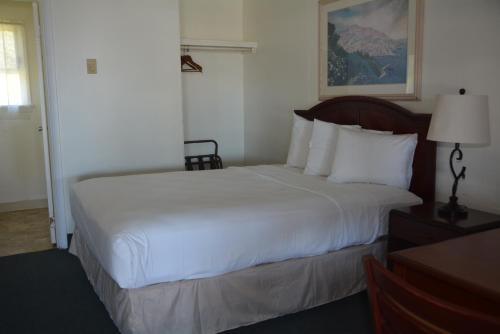 1 dormitorio con 1 cama grande con sábanas y almohadas blancas en Pacific Sunset Inn, en Brookings