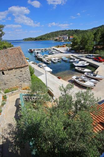 a bunch of boats are docked in a harbor at Apartment and rooms Roko in Zaglav