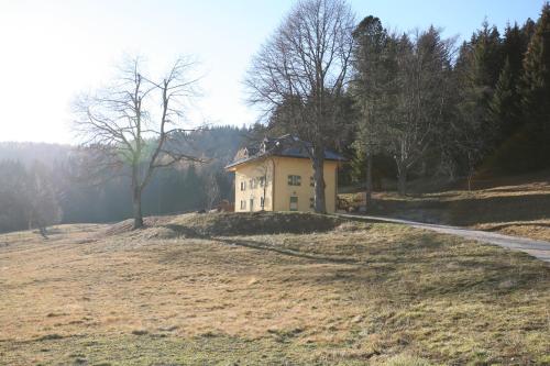 a house on a hill in a field at Chalet Musiera in Telve