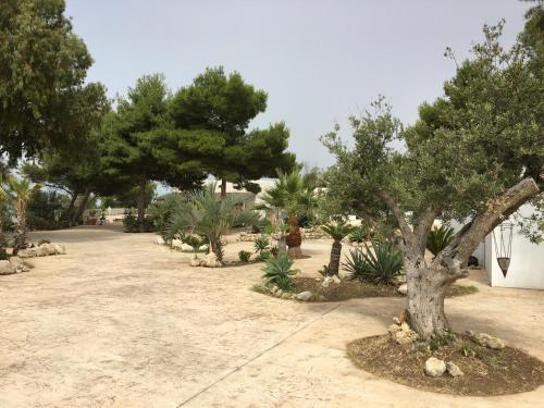 a group of trees and plants in a driveway at Villa Mare Di Montelusa in Agrigento