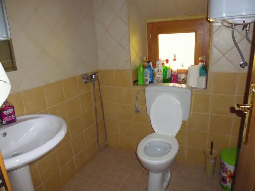 a small bathroom with a toilet and a sink at Kulla e Sadri Lukes in Theth