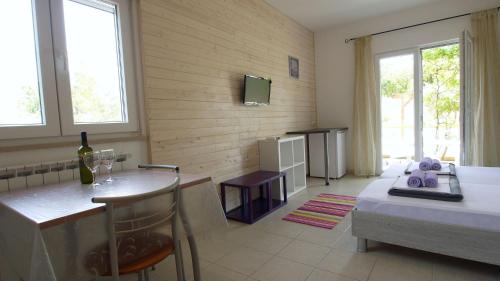 a kitchen with a counter and a table in a room at Paklenica Sport Apartments in Starigrad