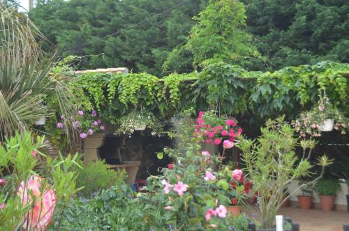 a garden with lots of flowers and plants at Chambres d'Hôtes La Forterie in Vairé