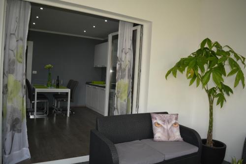 Χώρος καθιστικού στο Apartment D & N