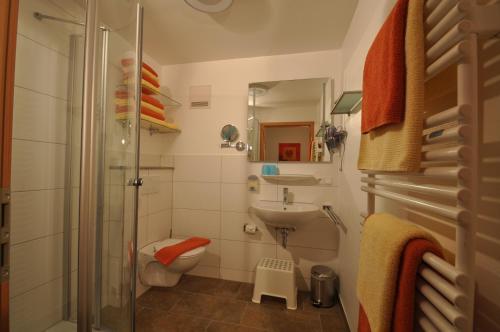 a bathroom with a shower and a toilet and a sink at Apart Hotel Stadtgarten in Überlingen