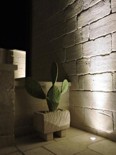 a plant sitting in a pot next to a brick wall at Corte Kalìnora in Martano