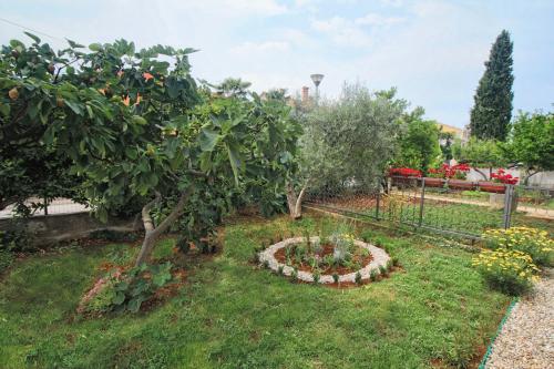 Κήπος έξω από το Apartments and Rooms Lorena 236