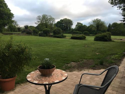 a patio with a table and two chairs and a field at Huck’s Ferienhäuser in Borstel