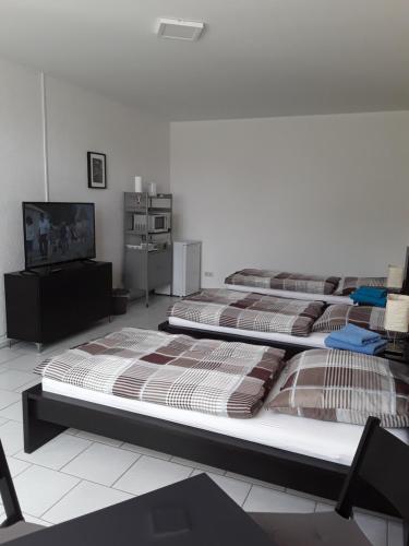 a bedroom with two beds and a television in it at Pension zum Bauhof in Zwickau