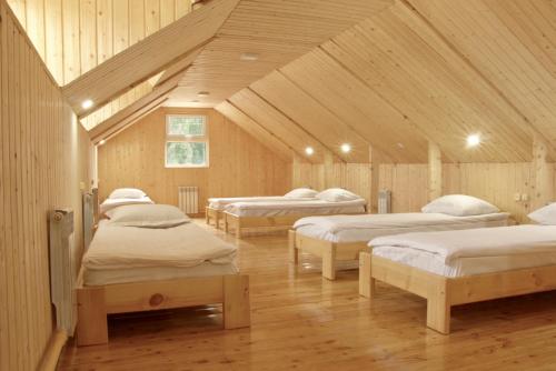 Ένα ή περισσότερα κρεβάτια σε δωμάτιο στο Hostel Nice