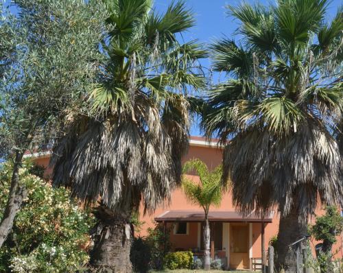 two palm trees in front of a building at Agriturismo Torre Del Golfo in Cropani
