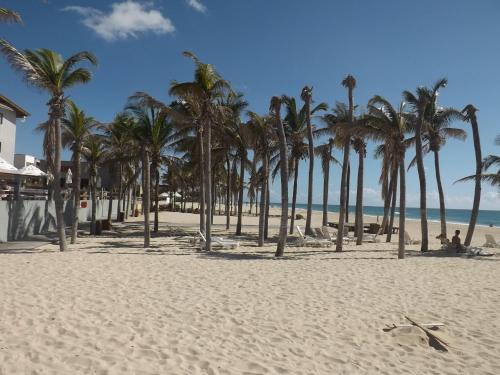 a group of palm trees on a sandy beach at CONDOMÍNIO VILA DO MAR in Aquiraz