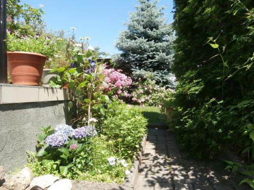 Taman di luar Apartman Ráchegy