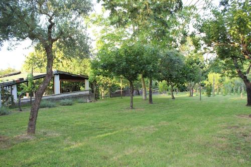 Фотография из галереи Radici House в городе Торджано