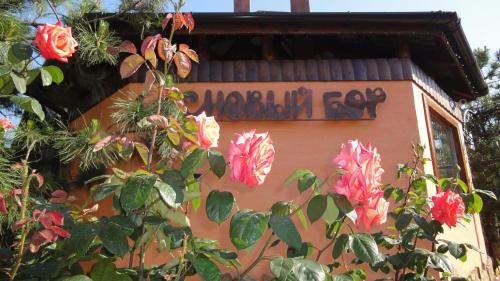ein Schild an der Seite eines Gebäudes mit Blumen in der Unterkunft Villa Sosnovy Bor in Satoka