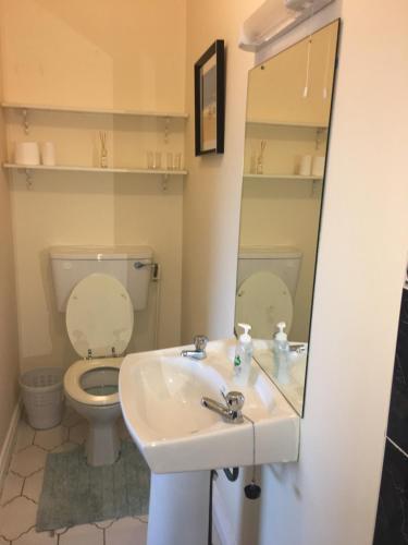 a bathroom with a sink and a toilet and a mirror at Ceol Na Mara in Westport