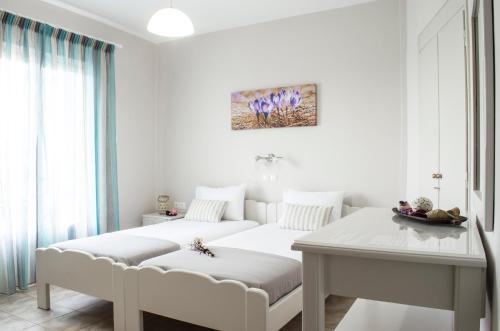 Gallery image of Studios Antoniou in Skala