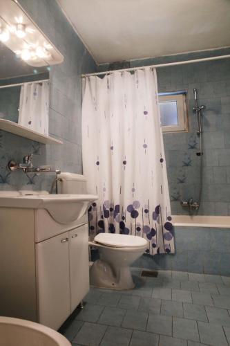 a bathroom with a toilet and a shower curtain at Apartments Roko in Tisno