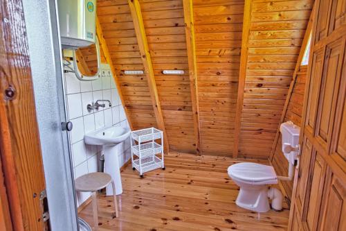 a small bathroom with a toilet and a sink at Borowinka in Ustka