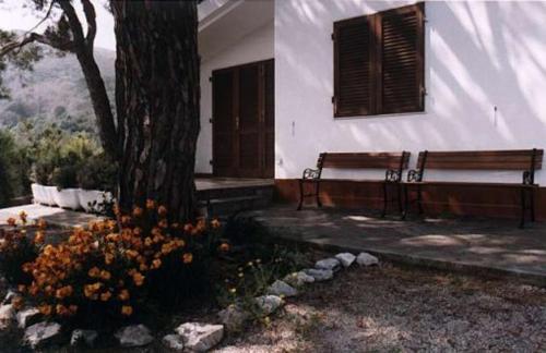 Κήπος έξω από το Villetta Straccoligno