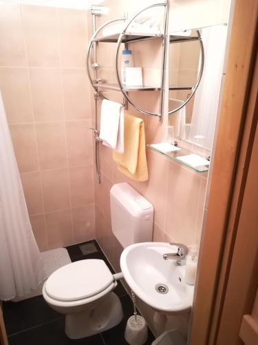 a small bathroom with a toilet and a sink at Cinema House Single & Double Rooms & Studio Apartments in Pula