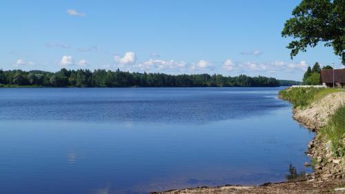 a large body of water with trees in the background at Guest house Jumiezis in Pļaviņas