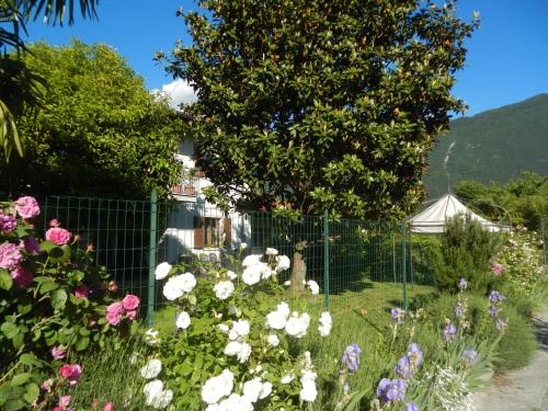 a garden with pink and white flowers and a fence at Al Fiume in Arco