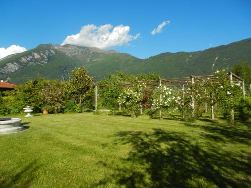a garden with a bunch of fruit trees and mountains at Al Fiume in Arco