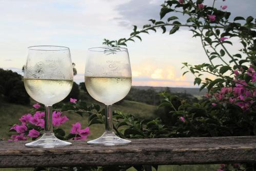 two glasses of wine sit on a wooden table at Deshons Retreat in Kingaroy