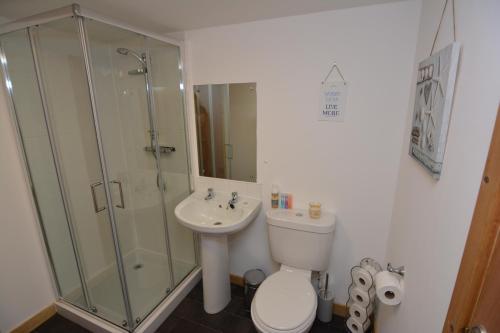 a bathroom with a toilet and a shower and a sink at Northness Apartments, Lerwick Self Contained in Lerwick