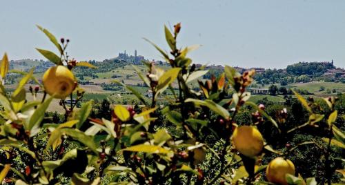 B&B Carletto – Photos 5
