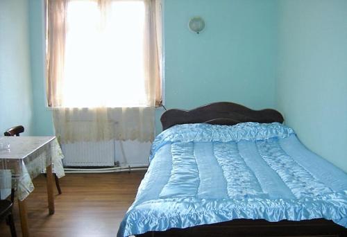 a bedroom with a bed with a blue comforter and a window at Hotel Lilo near Airport in Tbilisi City