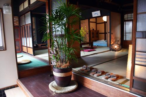 a room with a potted plant and pairs of shoes at Guesthouse En in Omihachiman