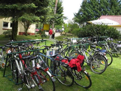 a bunch of bikes parked in a row on the grass at Hostel Schweriner See in Retgendorf